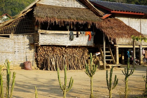 Stilt house