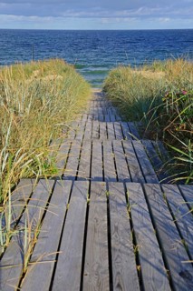 Access to the beach through the dunes of Rantum