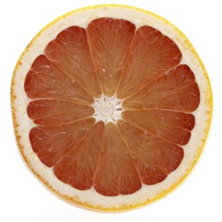 GRAPEFRUIT citrus grandis against white background