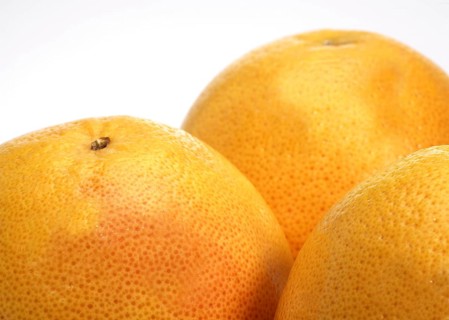 Citrus paradisi