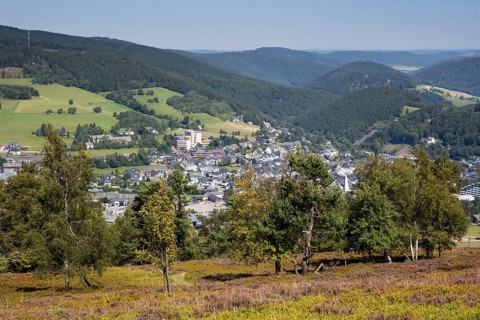 View from Ettelsberg