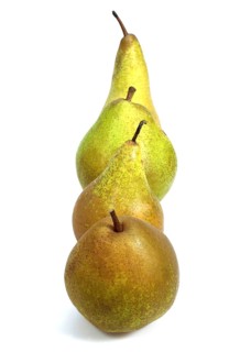 Comice Pear