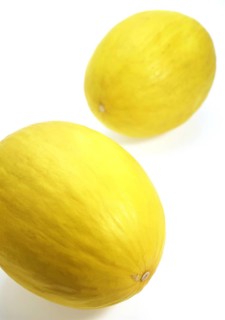 Yellow Spanish Melon