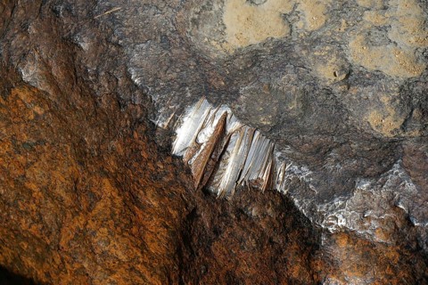 Detail