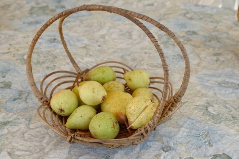European Pear