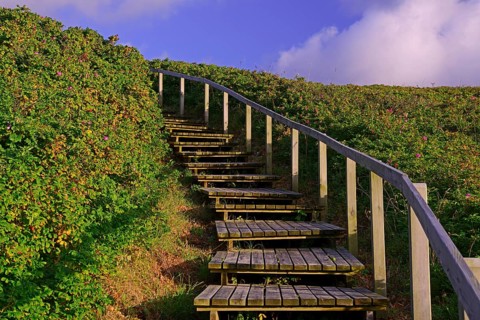 Access to the beach through the dunes of Rantum