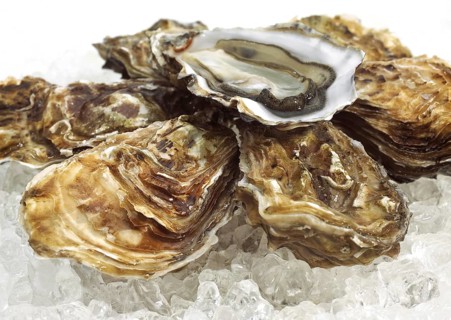 French Marennes d'Oleron oysters