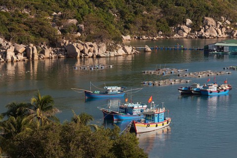 Fishing boats in Vinh Hy Bay
