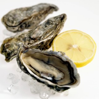FRESH OYSTERS ostrea edulis WITH LEMONS