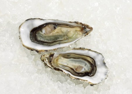 FRENCH OYSTER MARENNES D'OLERON ostrea edulis ON ICE