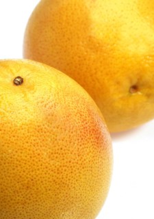 Citrus paradisi