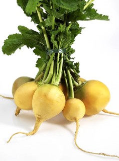 Golden Ball Turnip