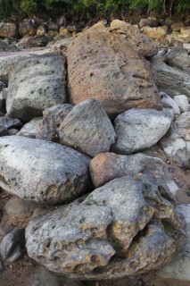 Beach with rocks and rainforest