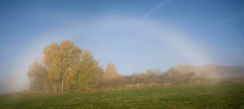 Autumn morning with Halo
