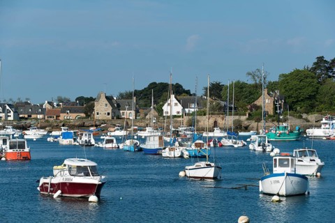 Harbour