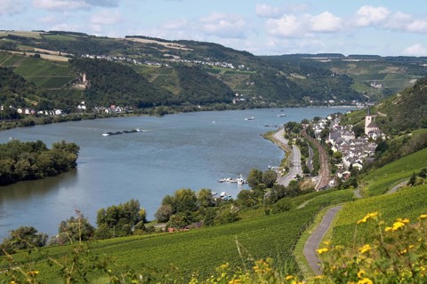 Rhine near Lorch