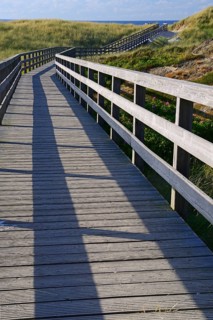 Boardwalk through the dunes to the beach of Kampen