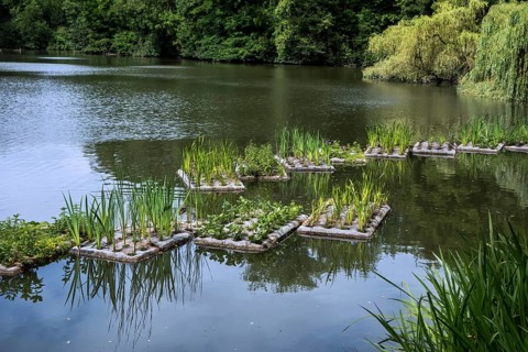 Floating artificial islands with vegetation in the pond for fish to spawn and breeding place for water birds