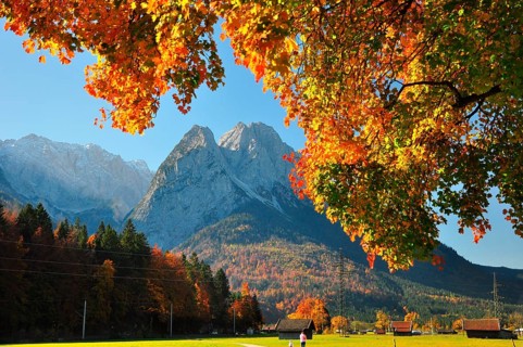 Autumn