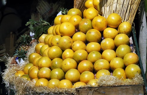 Grapefruits