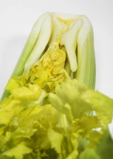 Celery
