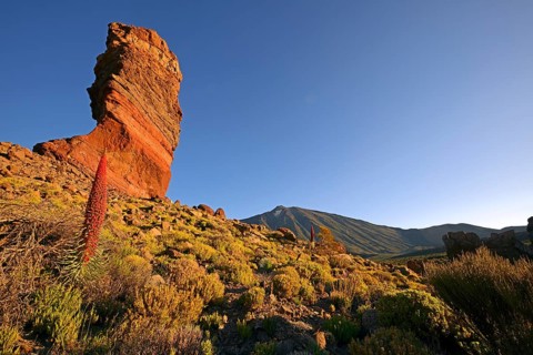 Roques de Garcia
