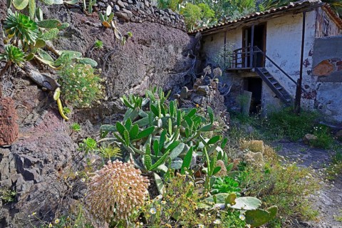 Morbid charm of dilapidated buildings in lonely mountain village