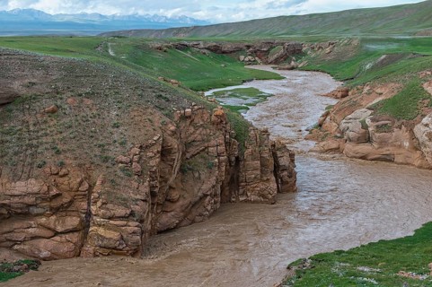 Muddy mountain river flowing through a wild gorge