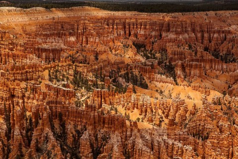 Bryce Point