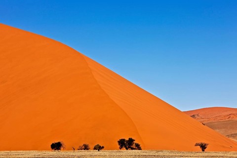 Namib Desert