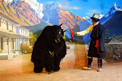 Traditional Tibetan dance performed by a folkloric group