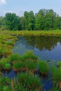 Schwalm-Nette nature Park