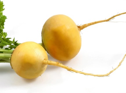 Golden Ball Turnips