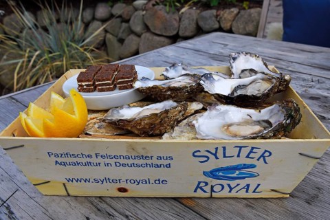 6 fresh oysters