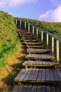 Access to the beach through the dunes of Rantum