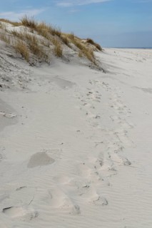 Dunes