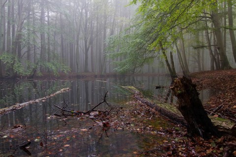 Jasmund National Park