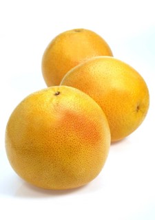 Citrus paradisi