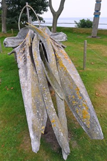 Skeleton of a Fin whale