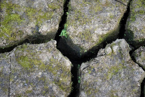 Dry crack