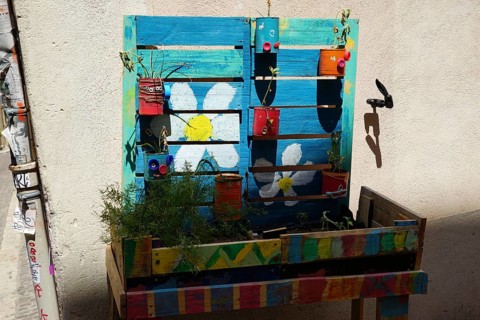 Urban Gardening