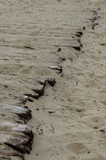 Boardwalk to the beach