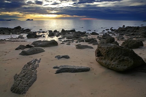 Beach with rocks and rainforest