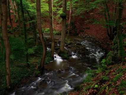 Strohner Switzerland