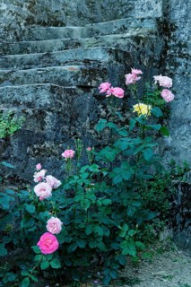 Stone stairs