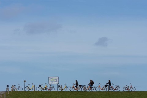 Parked bicycles and cyclists