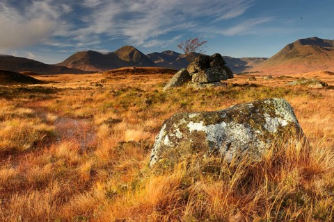 Rannoch Moor