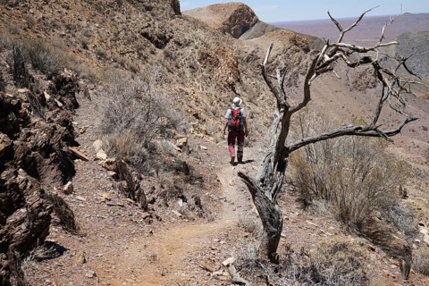 Hikers