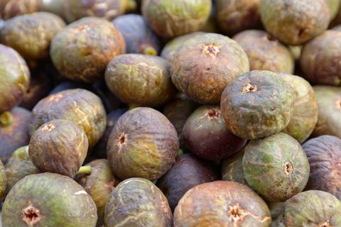 Fresh common Common fig