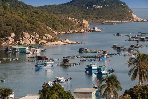Fishing boats in Vinh Hy Bay